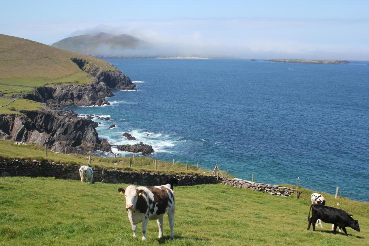 Dingle Courtyard Holiday Homes 3 Bed By Trident Holiday Homes Esterno foto